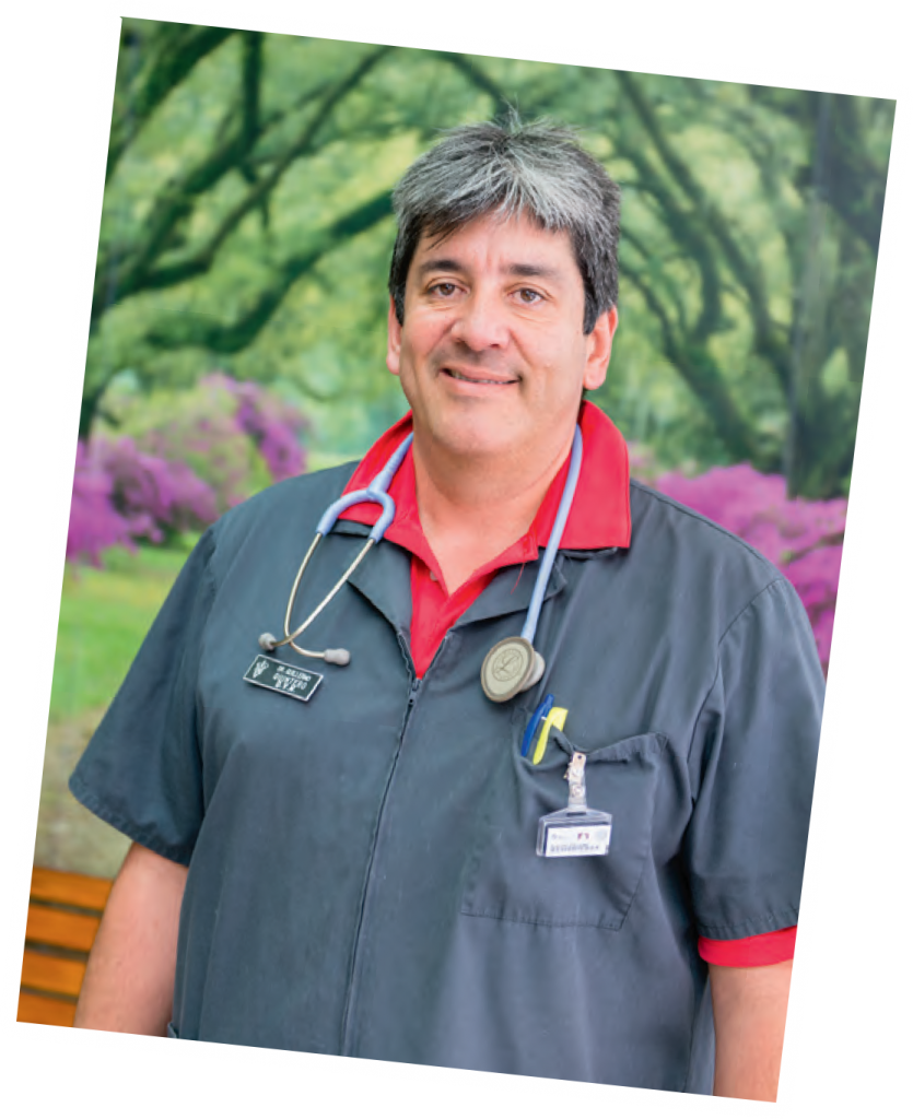 DVM Network DVM Network